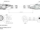 Plug socket Wiring Diagram Simple Light Switch and Electrical socket Wiring Diagrams Installing