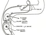 Precision Bass Wiring Diagram Squier P Bass Wiring Diagram Wiring Diagram Centre