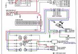 Raptor 660 Wiring Diagram Verucci Wiring Diagram Wiring Diagrams Second