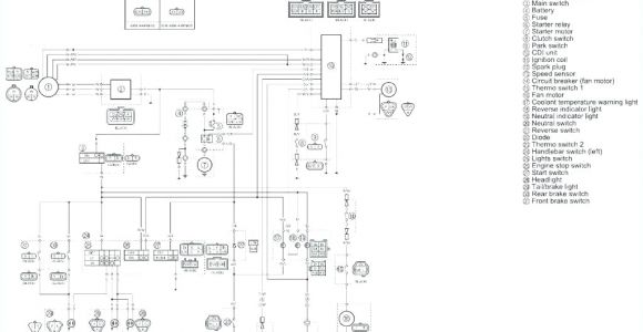 Raptor 660 Wiring Diagram Wiring Schematic for 2004 R1 Wiring Diagram Autovehicle