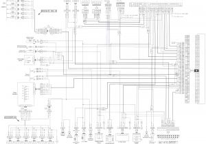 Rb20det Wiring Harness Diagram Rb20det Wiring Diagram Wiring Diagram Fascinating