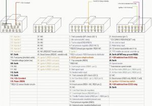 Rb20det Wiring Harness Diagram Wrg 8370 Rb20 Wiring Harness