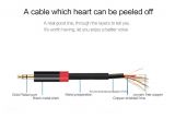 Rca Plug to Speaker Wire Diagram Mono Plug to Rca Audio Jack Wiring Wiring Diagram Expert