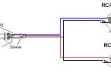 Rca Plug to Speaker Wire Diagram Rca Plug Wire Diagram Wiring Diagram Img