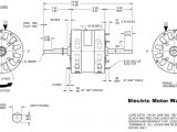 Reliance Duty Master Ac Motor Wiring Diagram Motor Wiring Diagram 19 Data Diagram Schematic