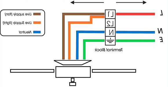 Rj45 Wiring Diagram Wall Jack Belkin Cat 5 Wiring Diagram Wiring Diagram toolbox