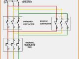 Single Phase Dol Starter Wiring Diagram Standard Contactor Wiring Diagram Wiring Diagram