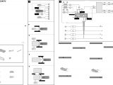 Sony Cdx Gt180 Wiring Diagram sony Cdx Gt180 Wiring Diagram Volovets Info