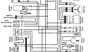 Suzuki Quadrunner 250 Wiring Diagram Suzuki Lt250ef Wiring Diagram Wiring Diagram
