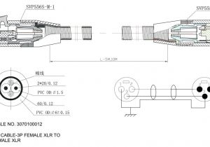 Switched Outlet Wiring Diagram E Lmp N Ir Mericn Smo Gfci Outlet and Switch Leviton Combo Wiring