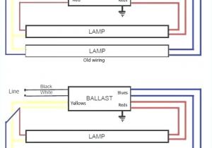 T12 to T8 Conversion Wiring Diagram Advance T12 Ballast Wiring Diagram Wiring Diagram Var