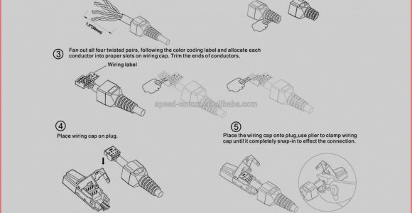 Telephone Network Interface Wiring Diagram Keystone Telephone Jack Wiring Diagram Wiring Diagram Database