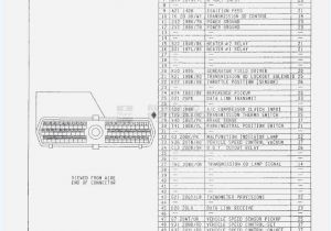 Throttle by Wire Diagram Harley Davidson Stereo Wiring Diagram Wiring Diagram Center