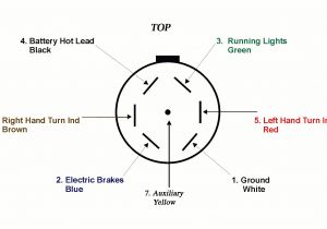 Trailer 7 Pin Plug Wiring Diagram Curt 58151 Wiring Diagram Use Wiring Diagram