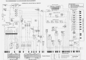 Vn Commodore Engine Wiring Diagram Vl Headlight Wiring Diagram Wiring Diagram Fascinating