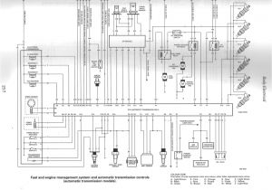 Vn Commodore Engine Wiring Diagram Vn Engine Wiring Diagram My Wiring Diagram