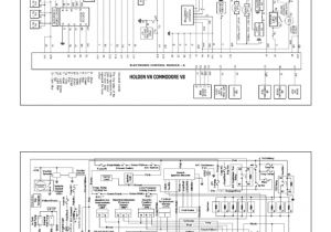 Vn Commodore Engine Wiring Diagram Vn Engine Wiring Diagram My Wiring Diagram