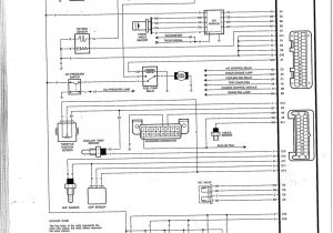 Vn Commodore Engine Wiring Diagram Vn Engine Wiring Diagram My Wiring Diagram