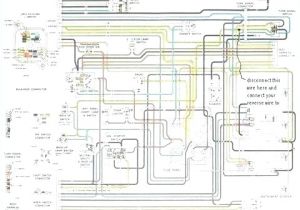 Vn Commodore Engine Wiring Diagram Vn Engine Wiring Diagram My Wiring Diagram