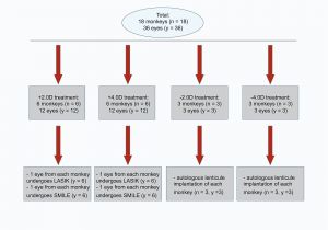 Wiring Diagram Generator Blank Diagram the Eye Electrical Wiring Diagram software for