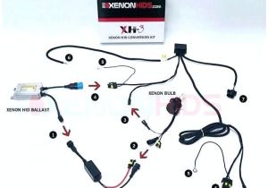 Xentec Wiring Diagram 12k Kensun Hid Kit Wiring Diagram Wiring Diagram Centre