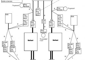 Xentec Wiring Diagram Hid Kit Wiring Diagram Wiring Diagram Value