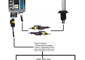 Xentec Wiring Diagram Xenon Hid Kit Wiring Diagram Wiring Diagram Query