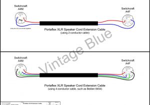 Xlr to Phono Wiring Diagram Phono Wiring Diagram Schema Diagram Database