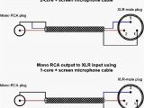 Xlr to Rca Wiring Diagram 5mm Mono Plug Wiring Diagram Manual E Book